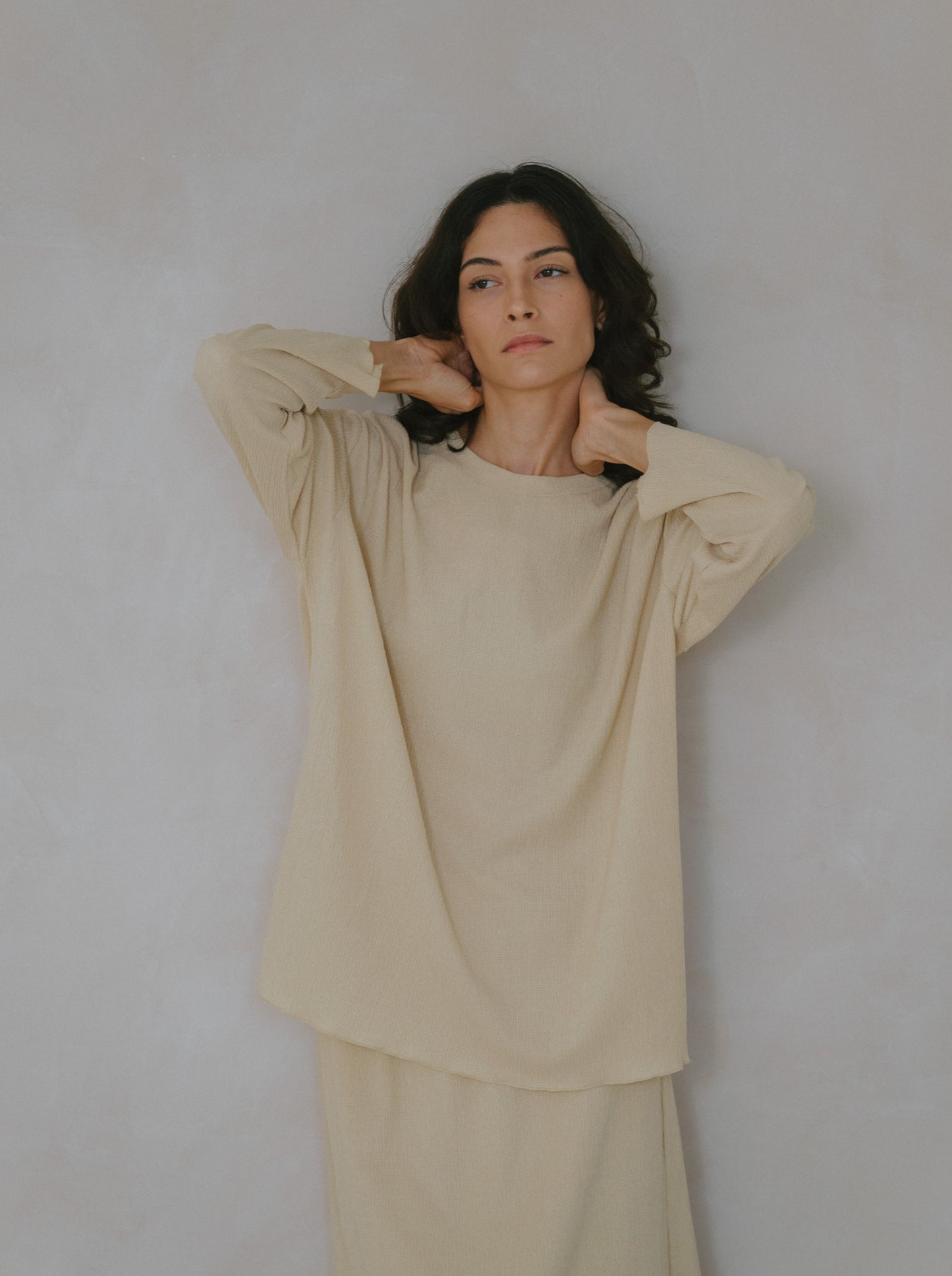 Pleat Long Sleeve Top