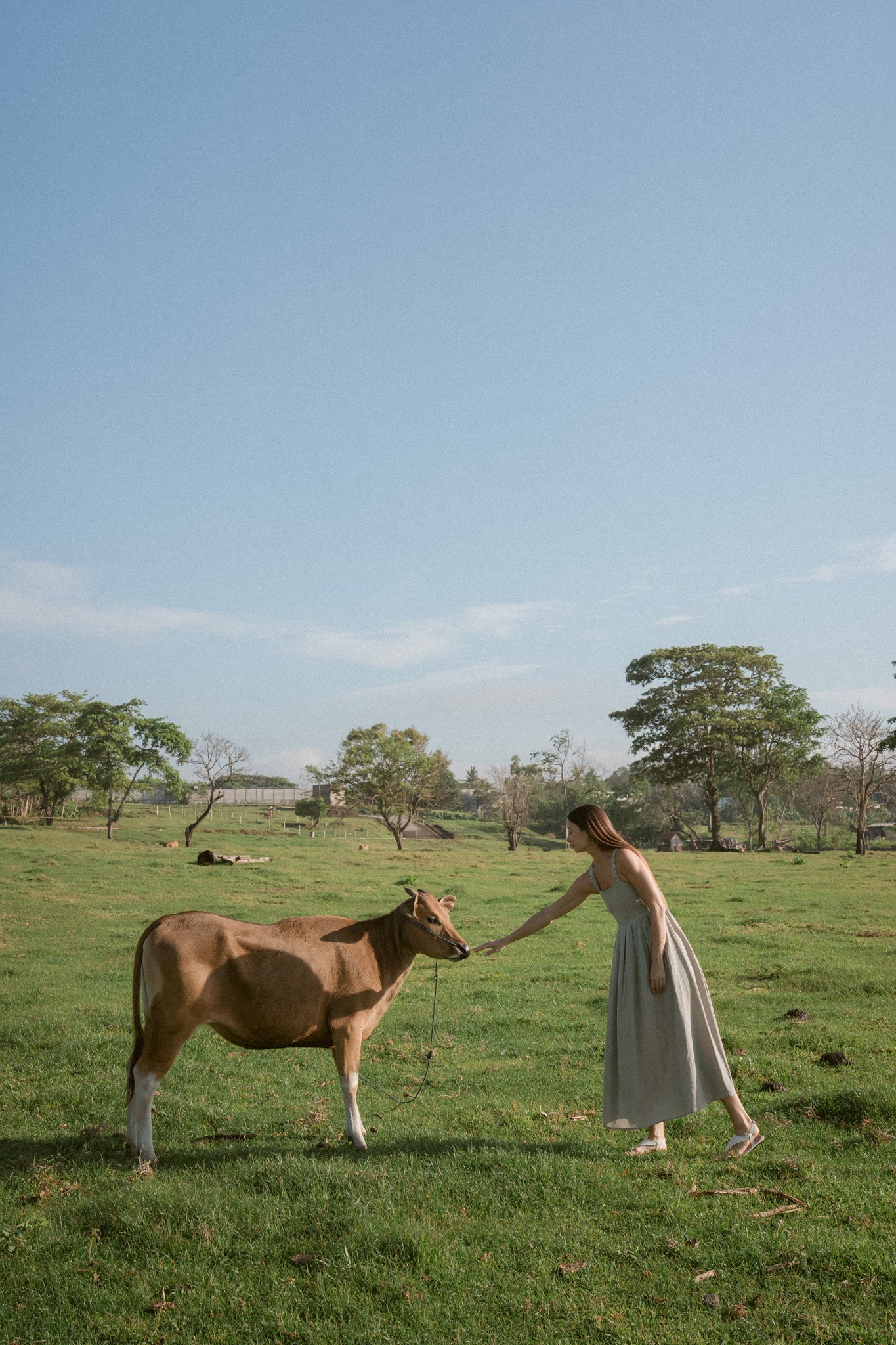Meadow Pleated Dress