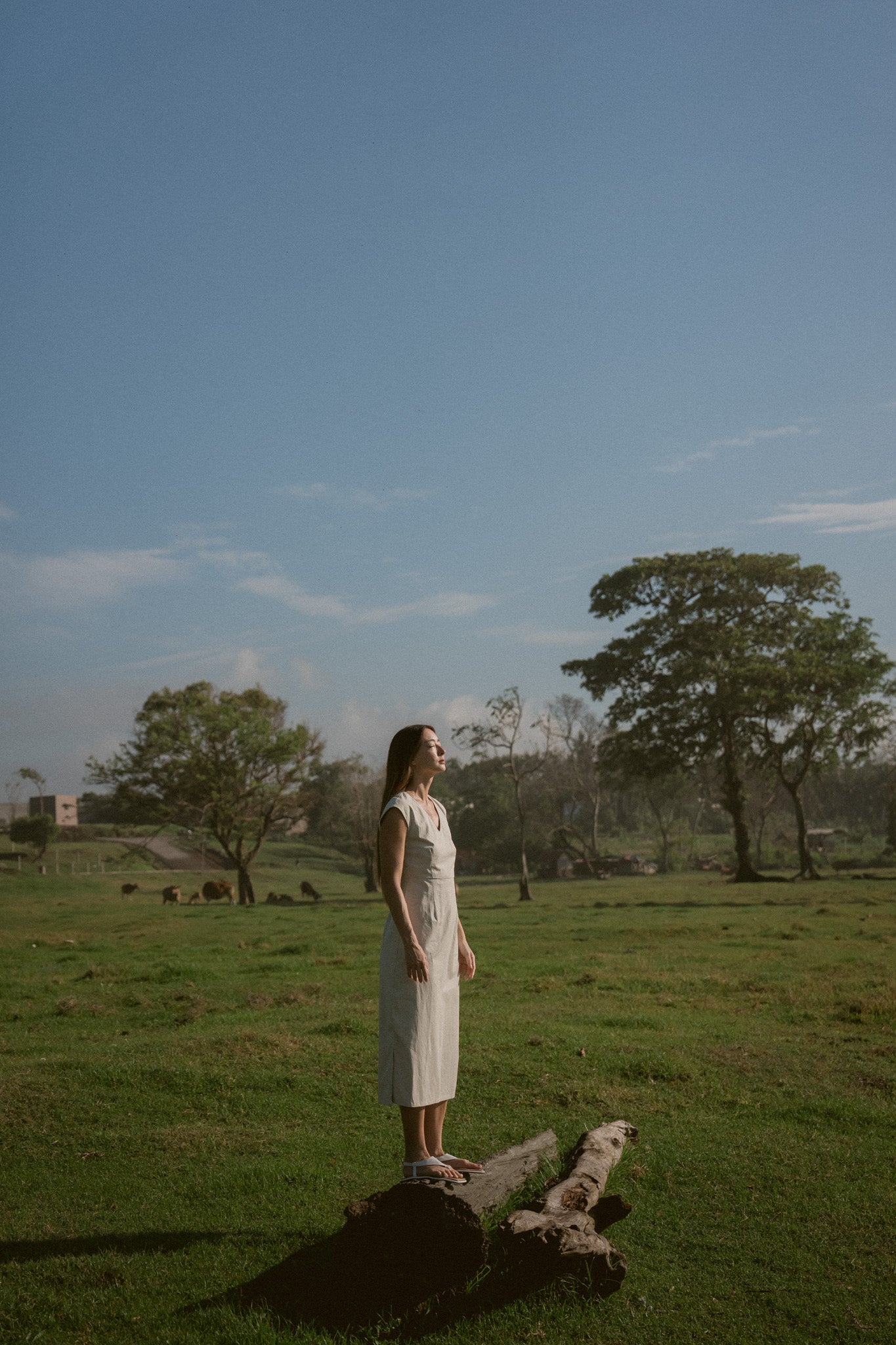 Bay Dress