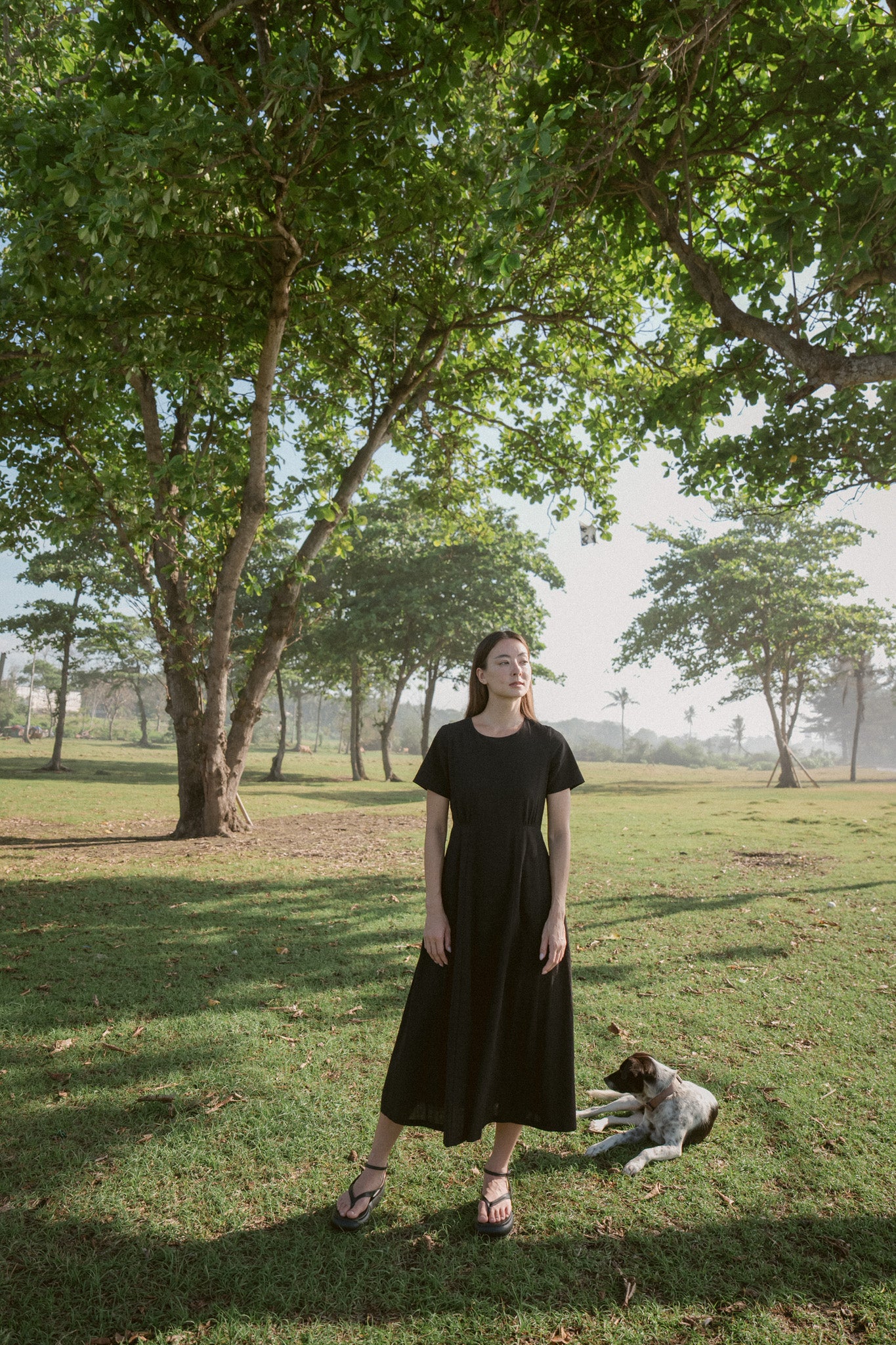Lagoon Dress