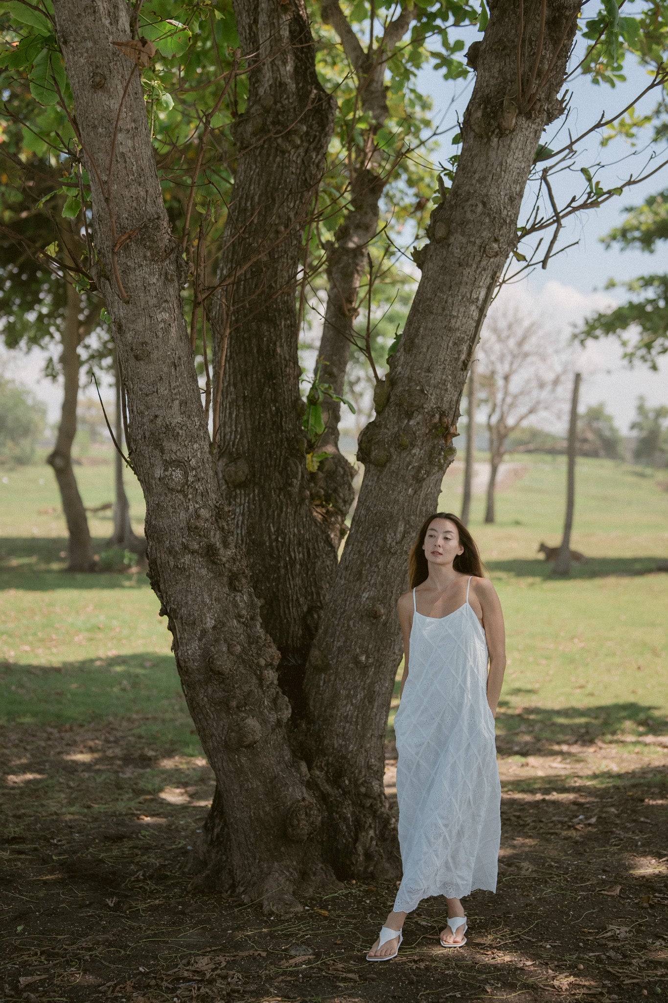 Umi Embroidery Cotton Dress