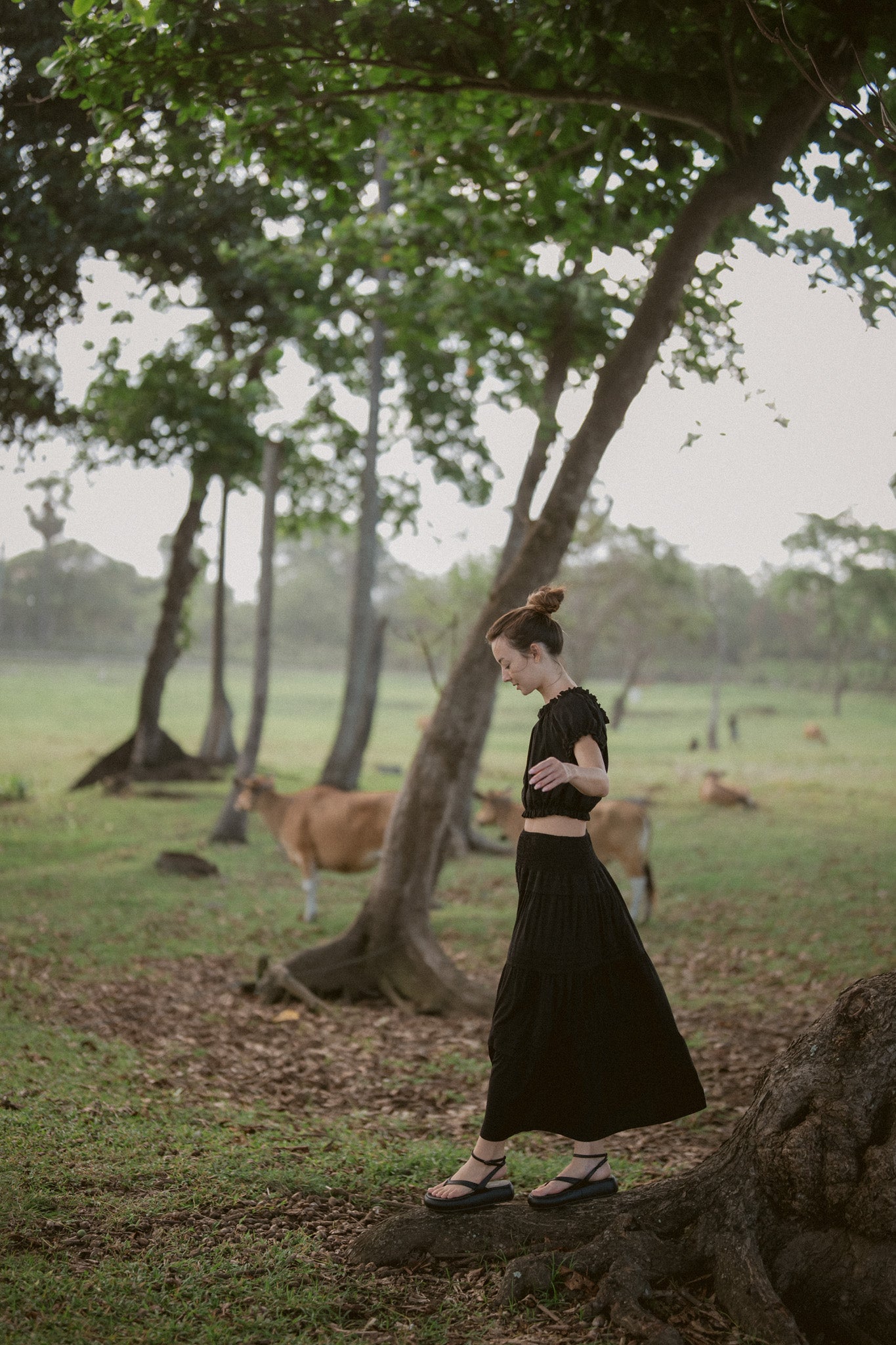 Aoi Layer Skirt