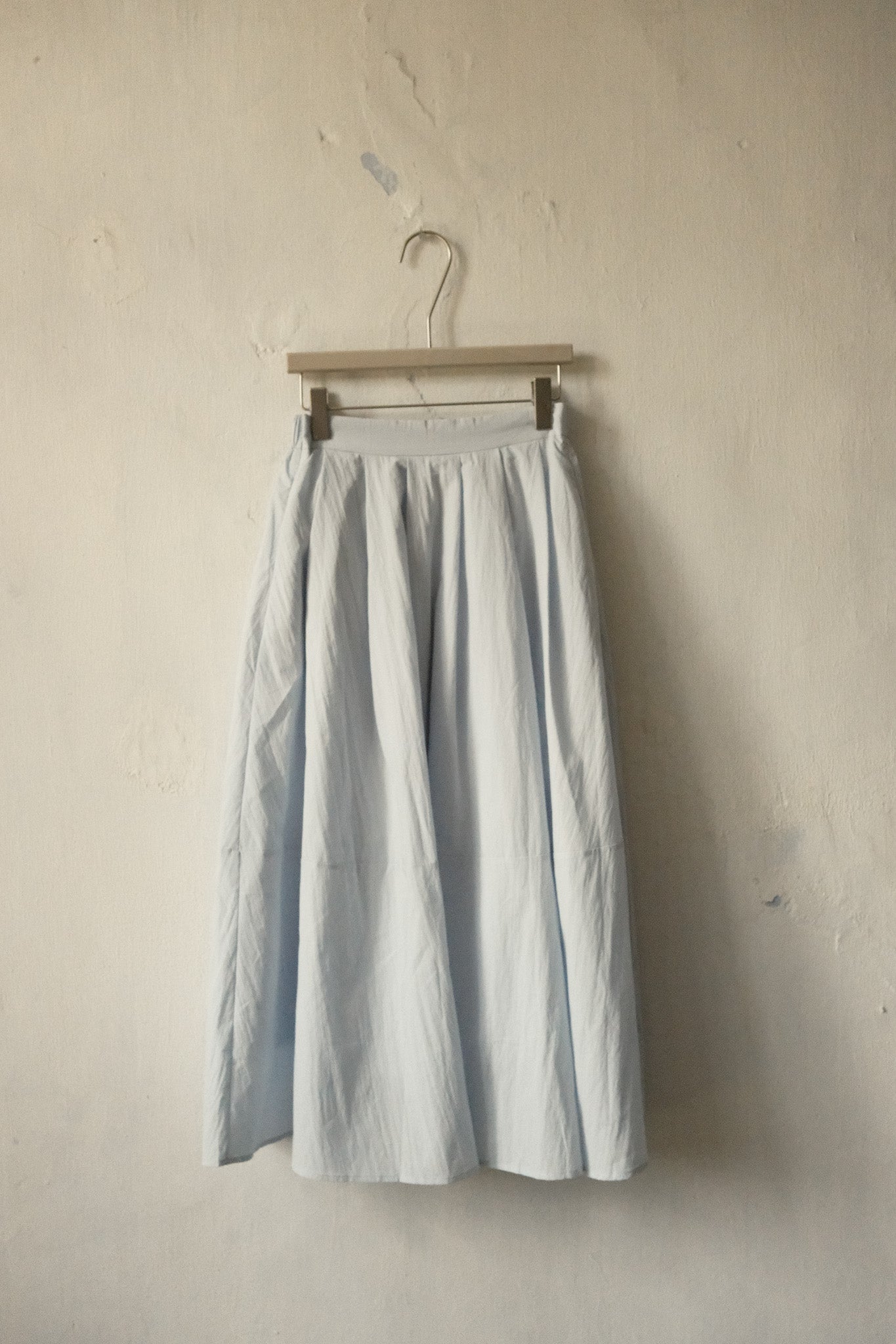 Pleated Flare Skirt