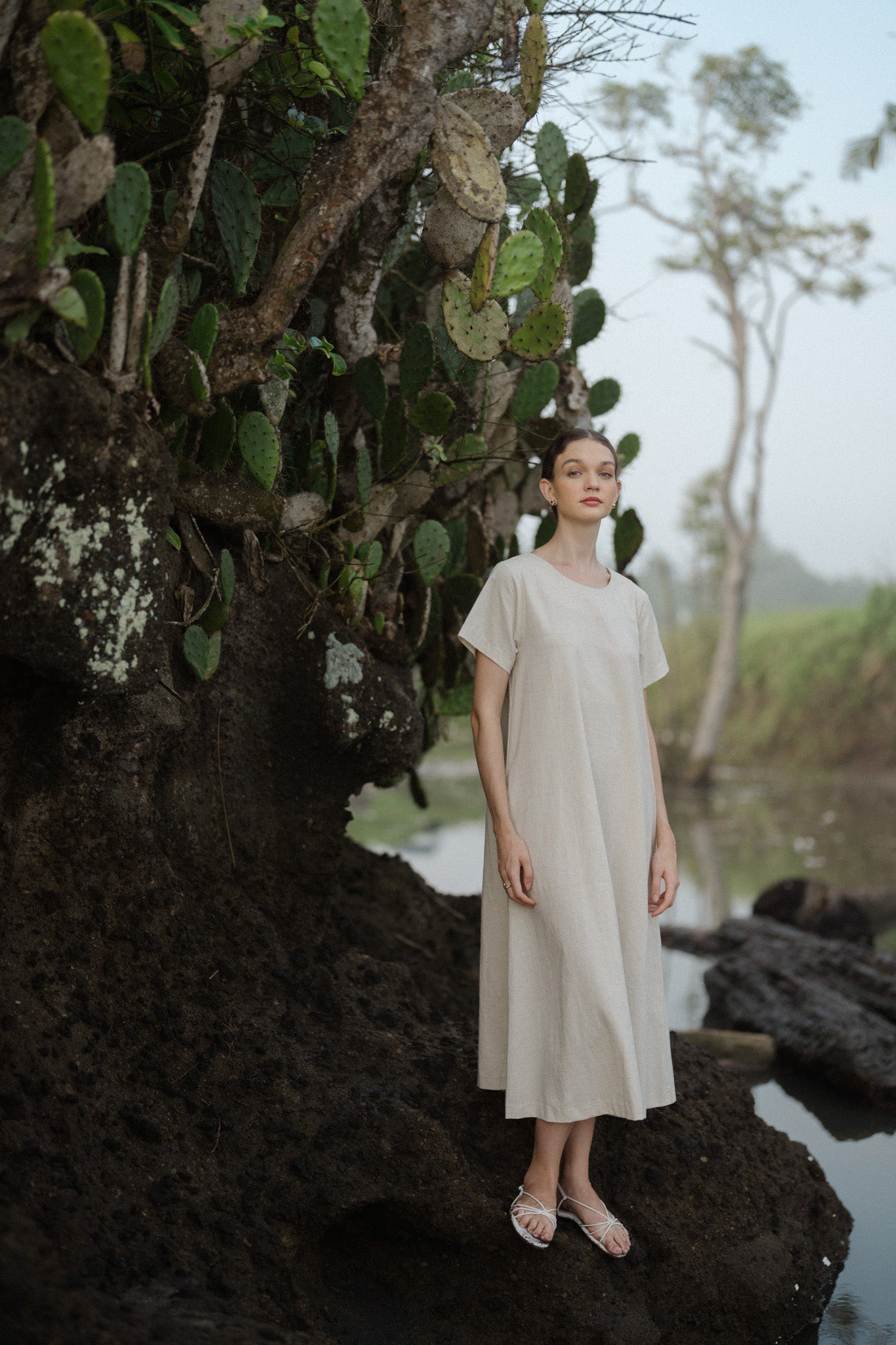 Minimal Linen Dress