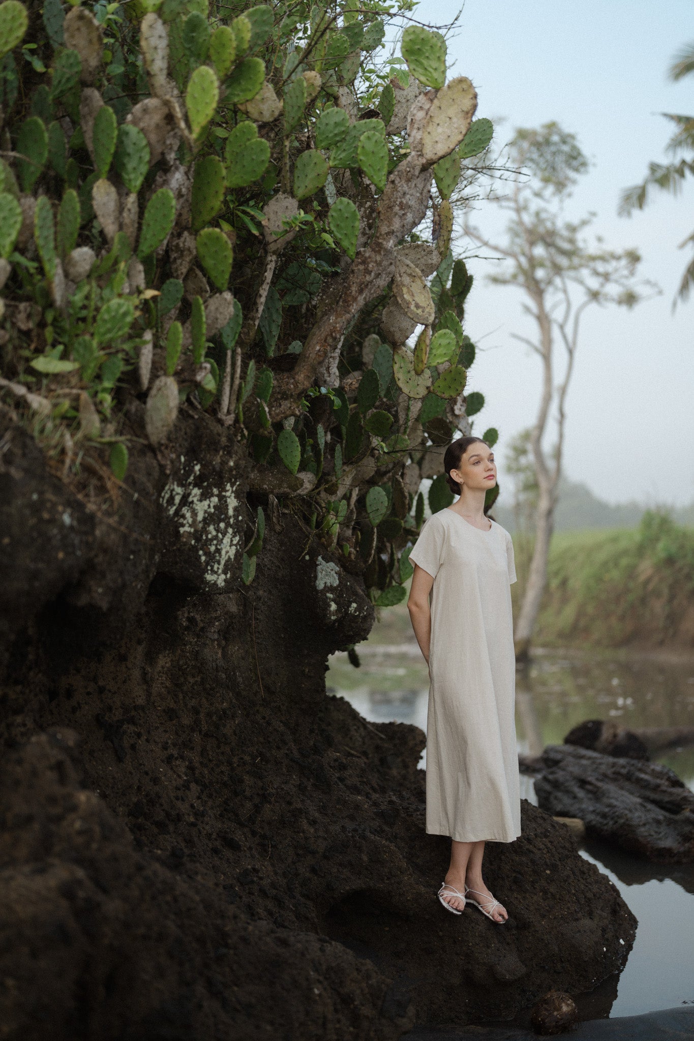 Minimal Linen Dress