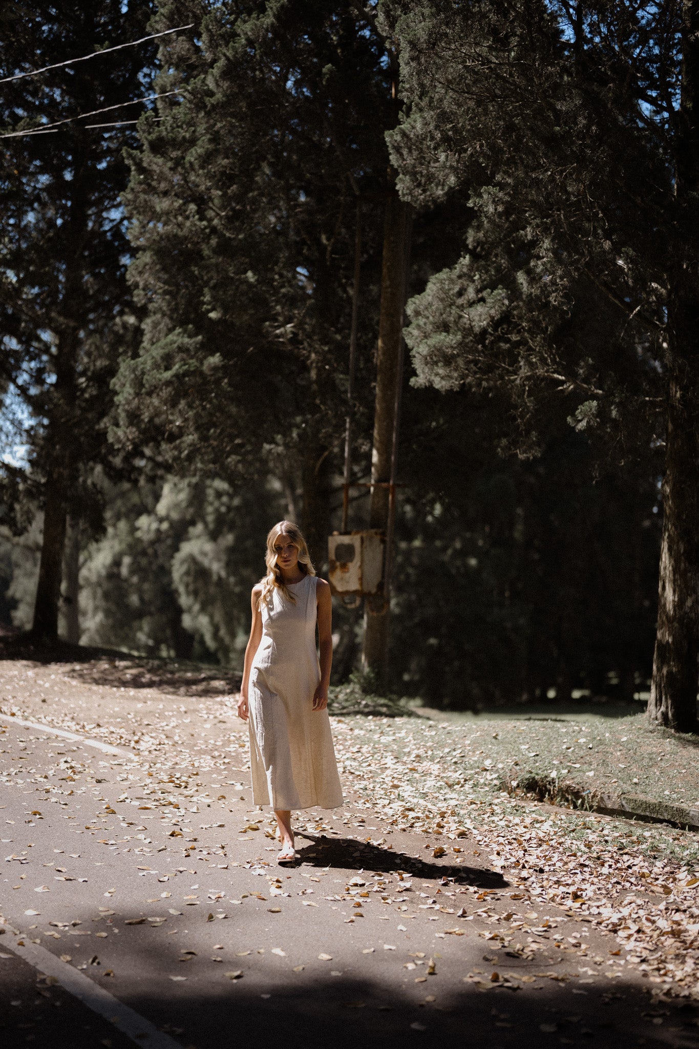 Camila Linen Dress