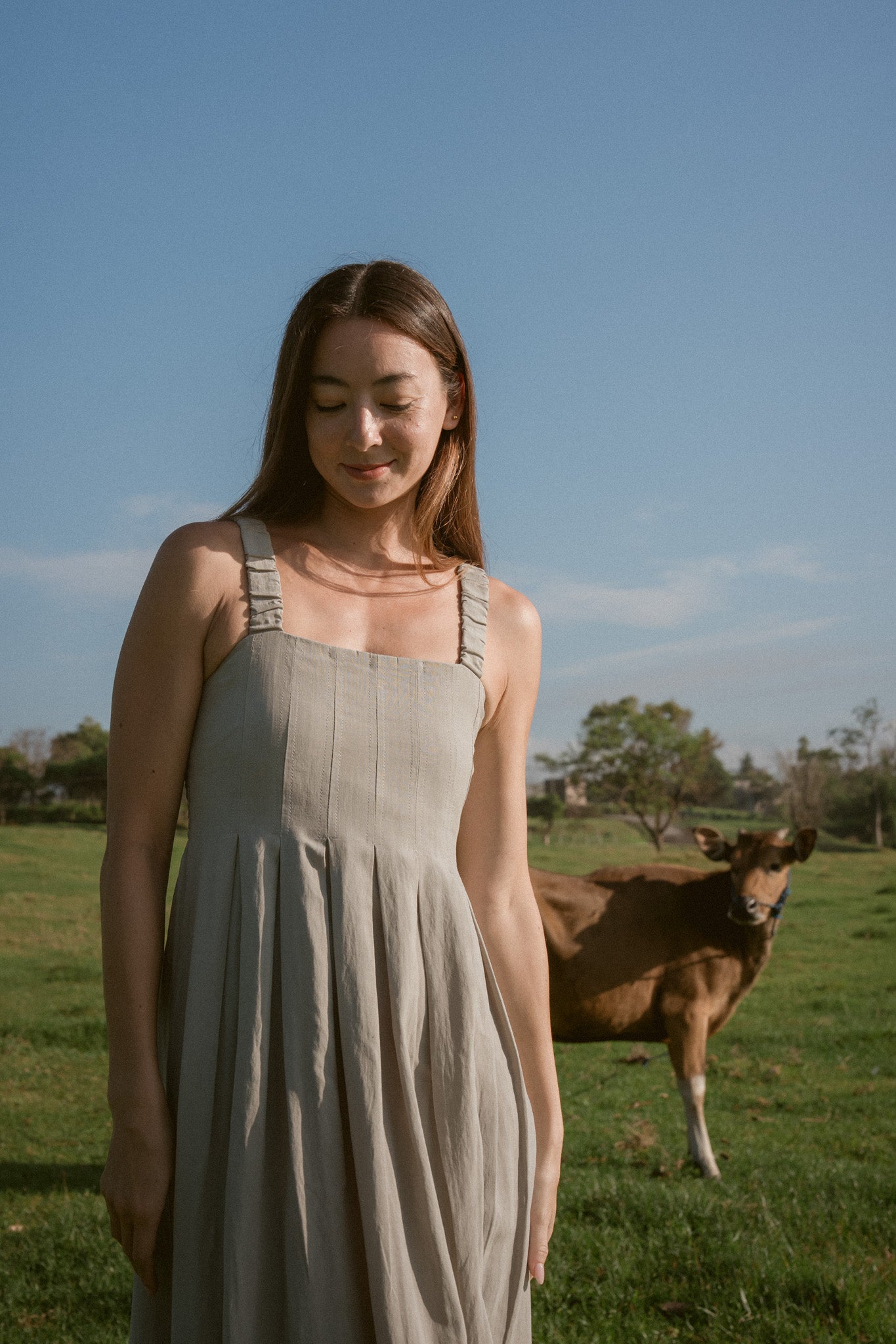 Meadow Pleated Dress