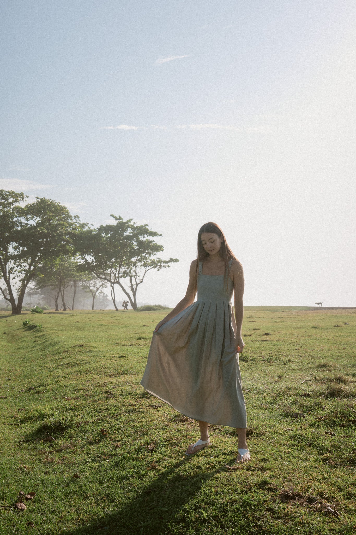 Meadow Pleated Dress