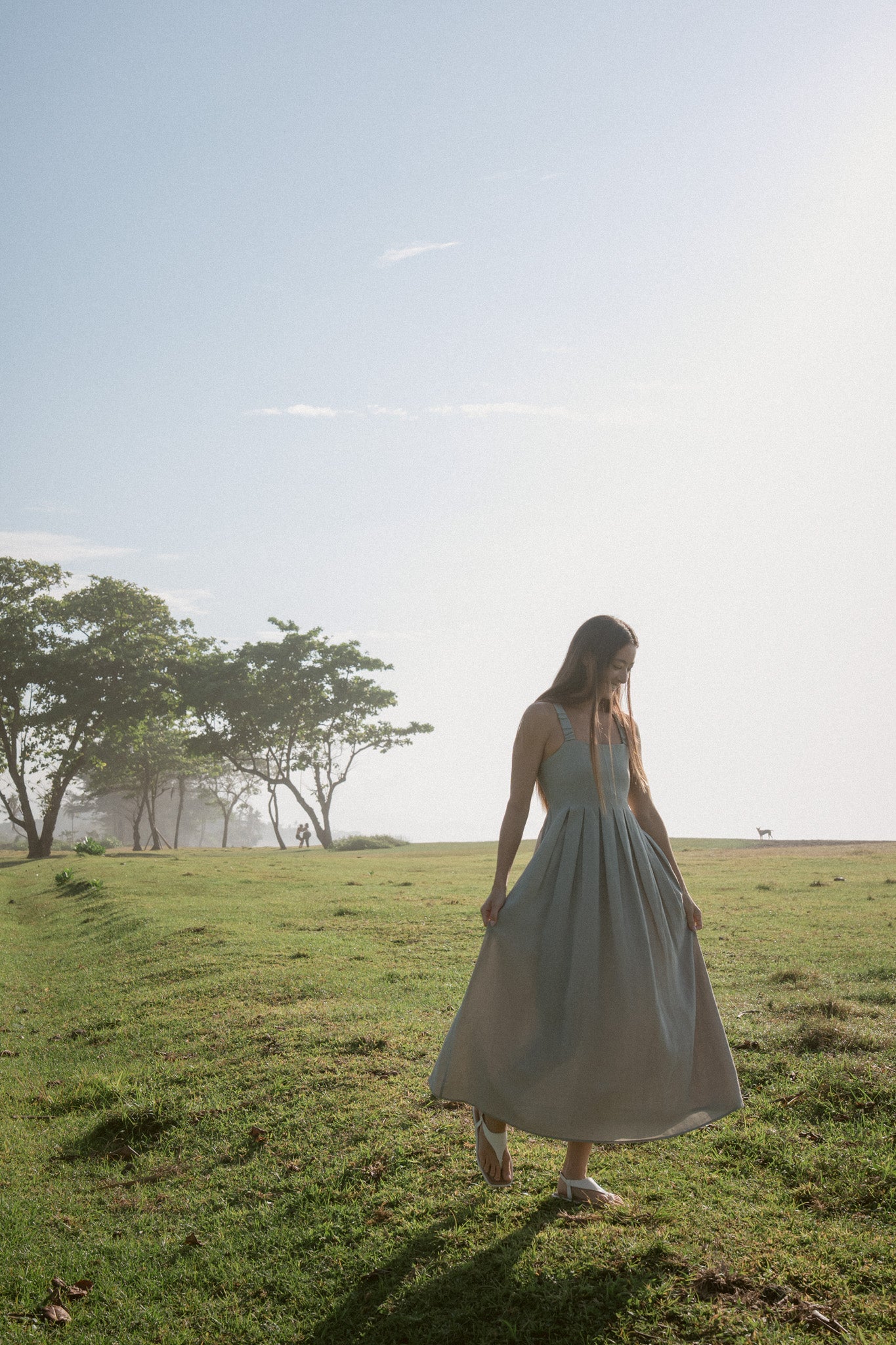 Meadow Pleated Dress