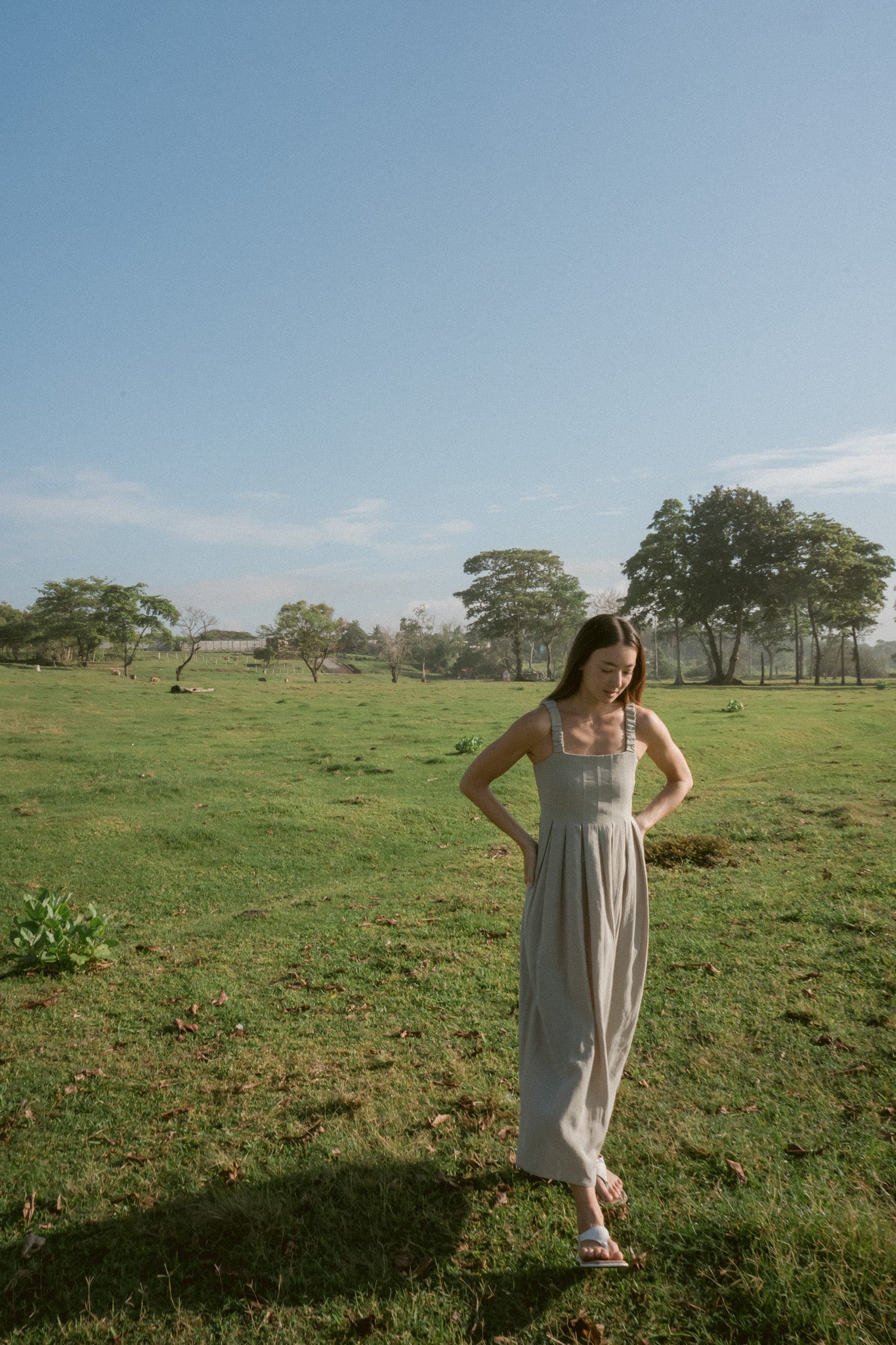 Meadow Pleated Dress