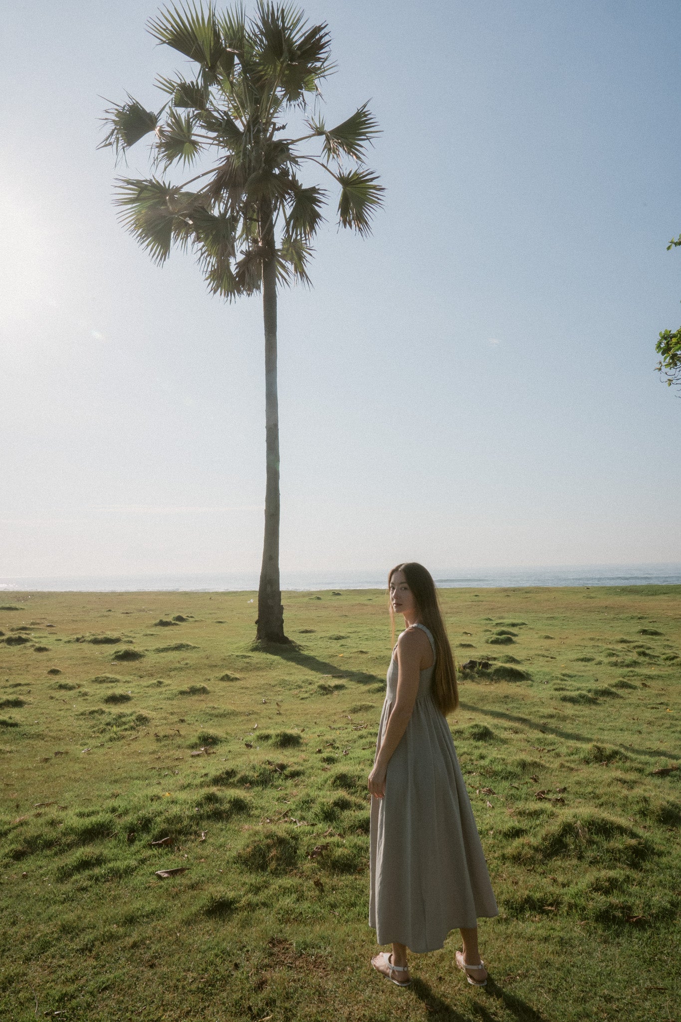 Meadow Pleated Dress
