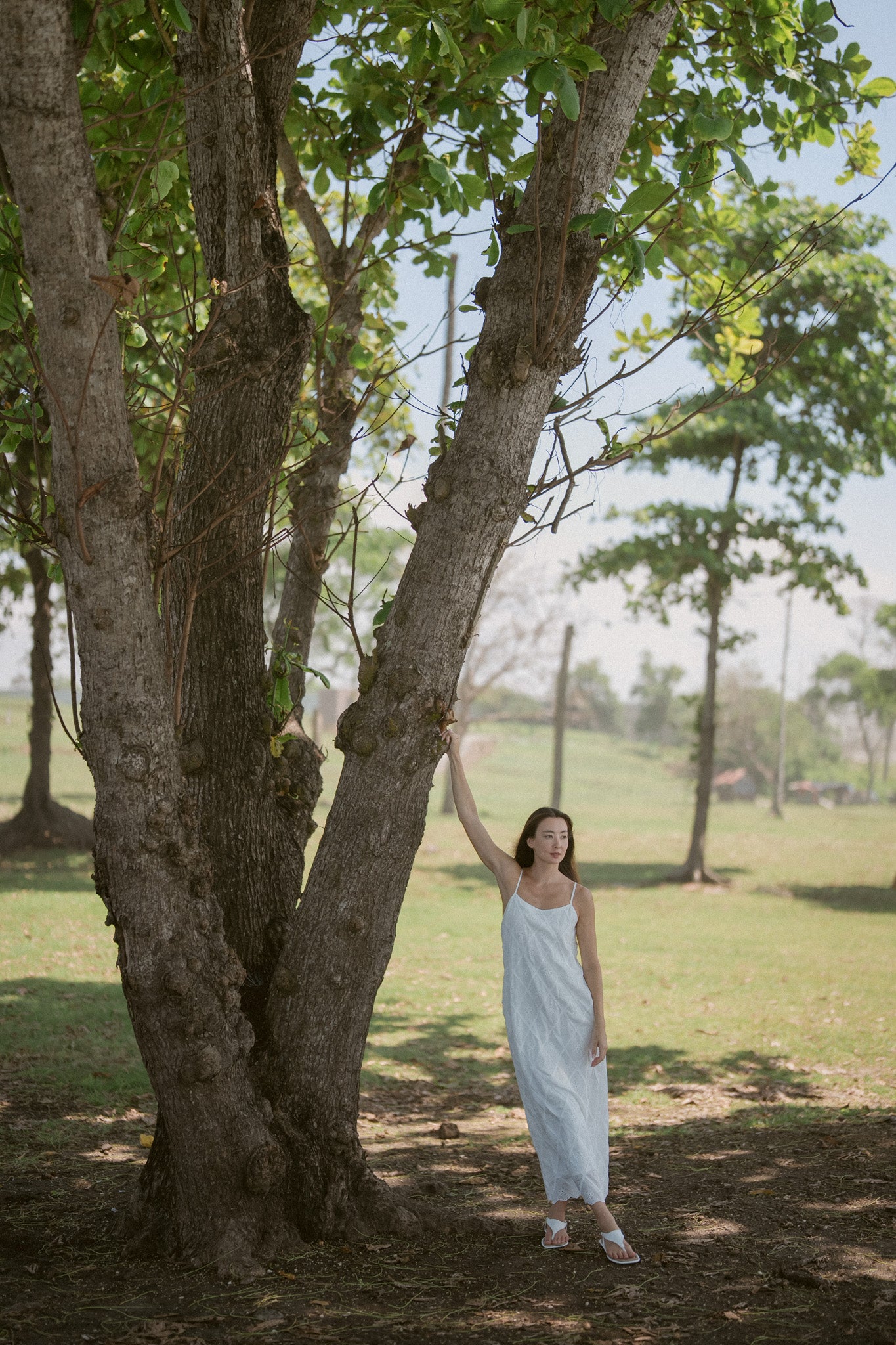 Umi Embroidery Cotton Dress