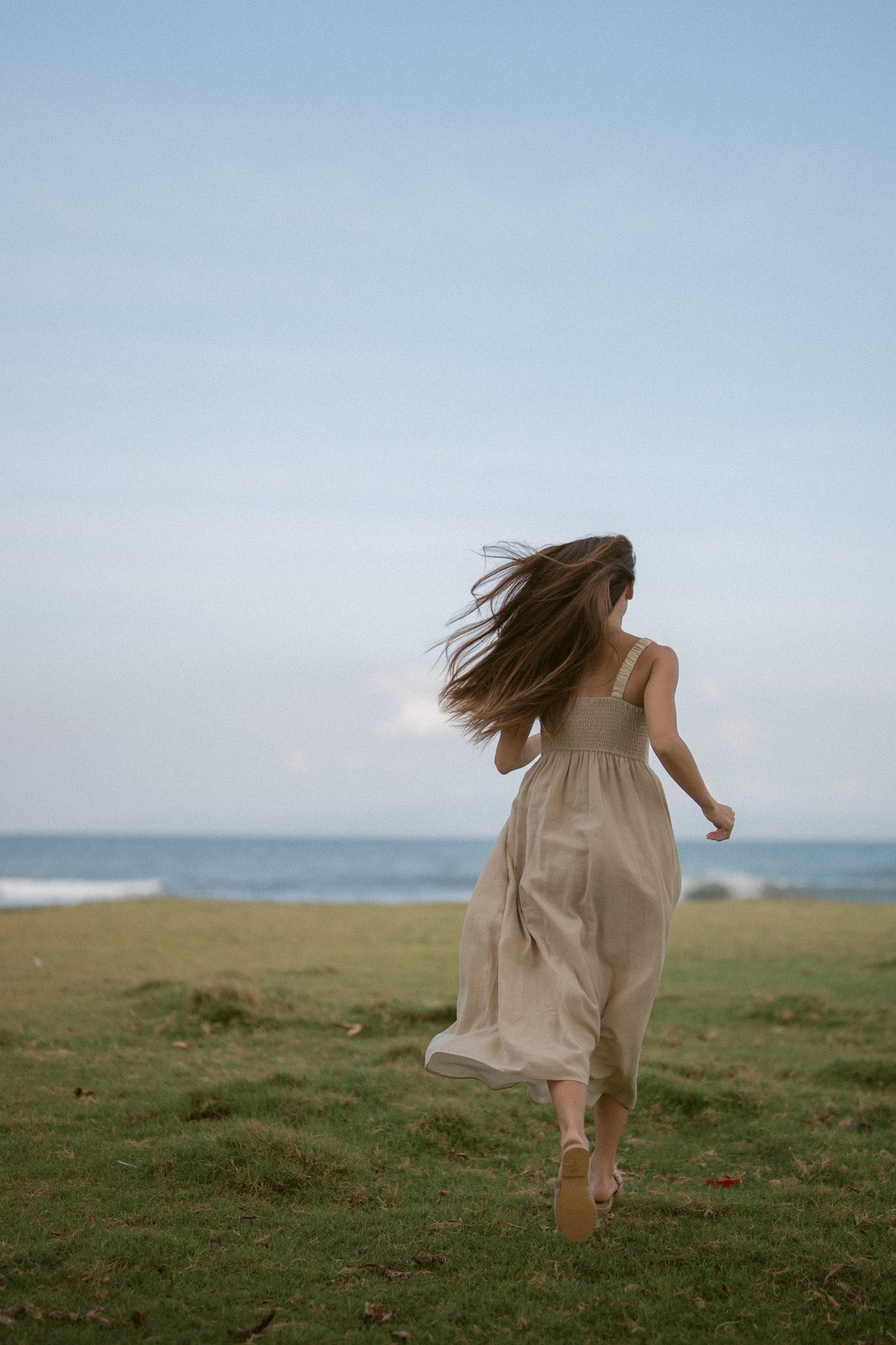 Meadow Pleated Dress