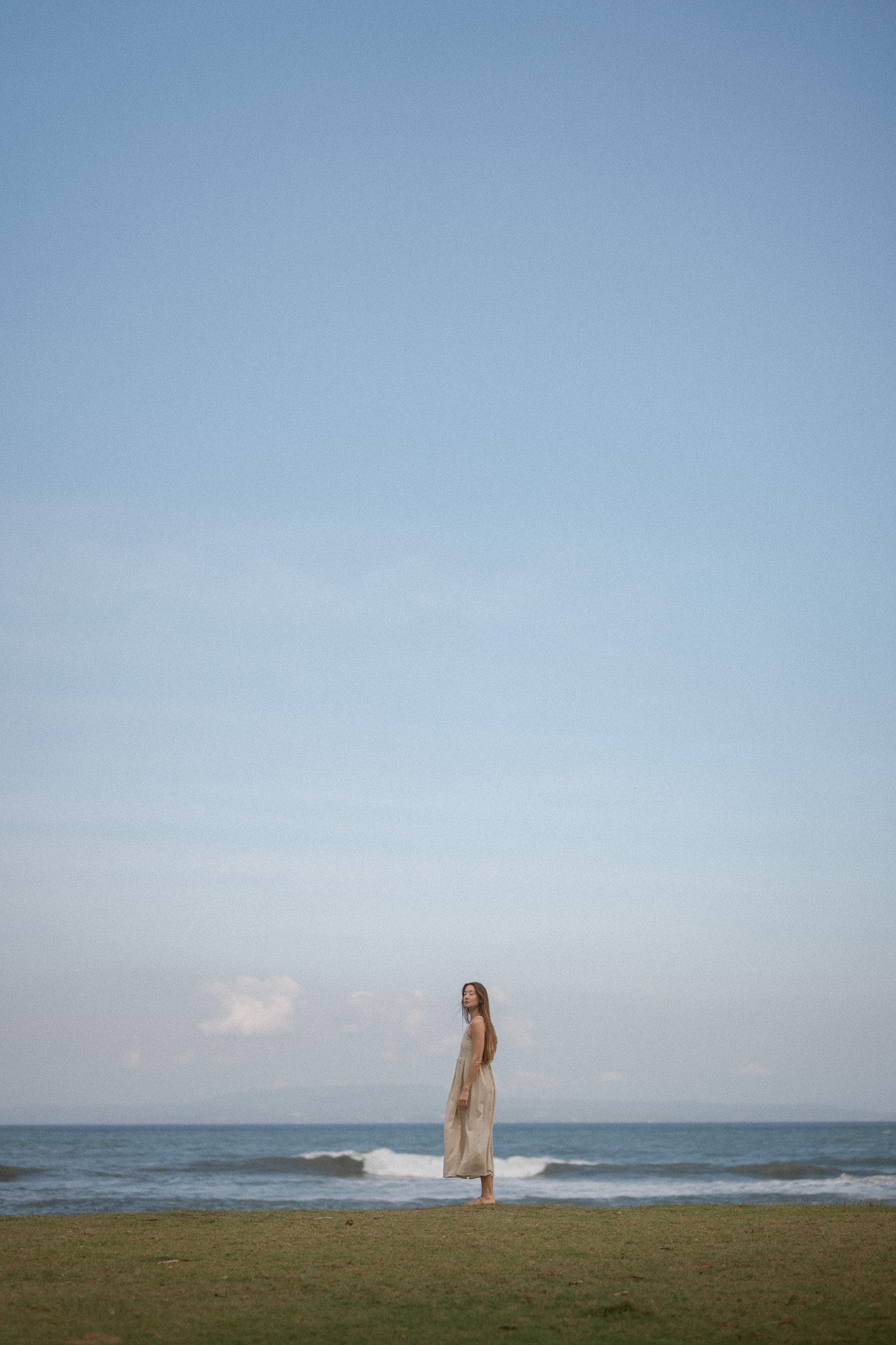 Meadow Pleated Dress