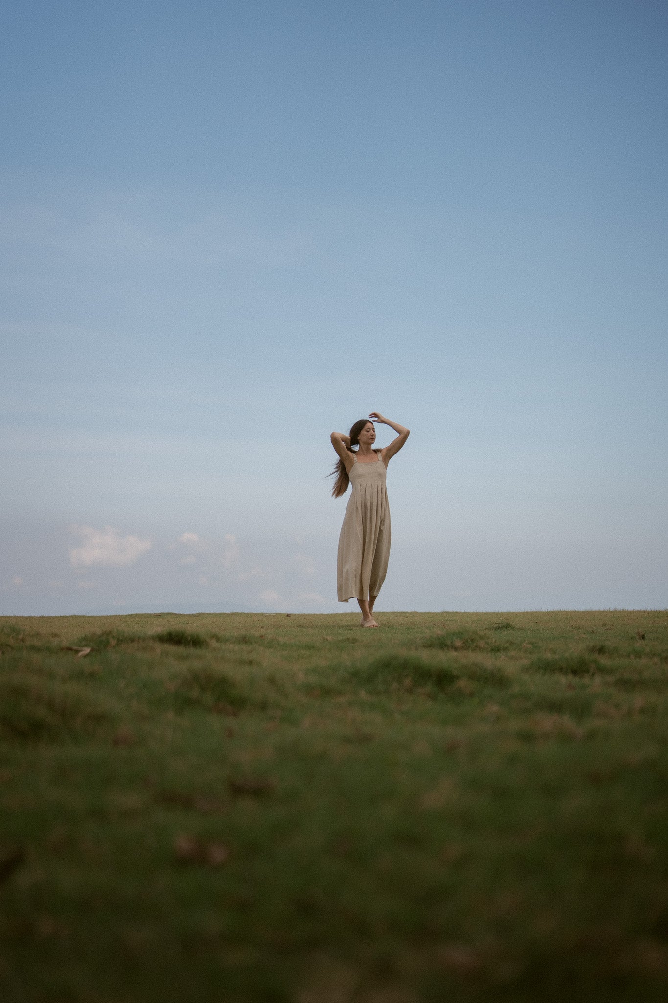 Meadow Pleated Dress