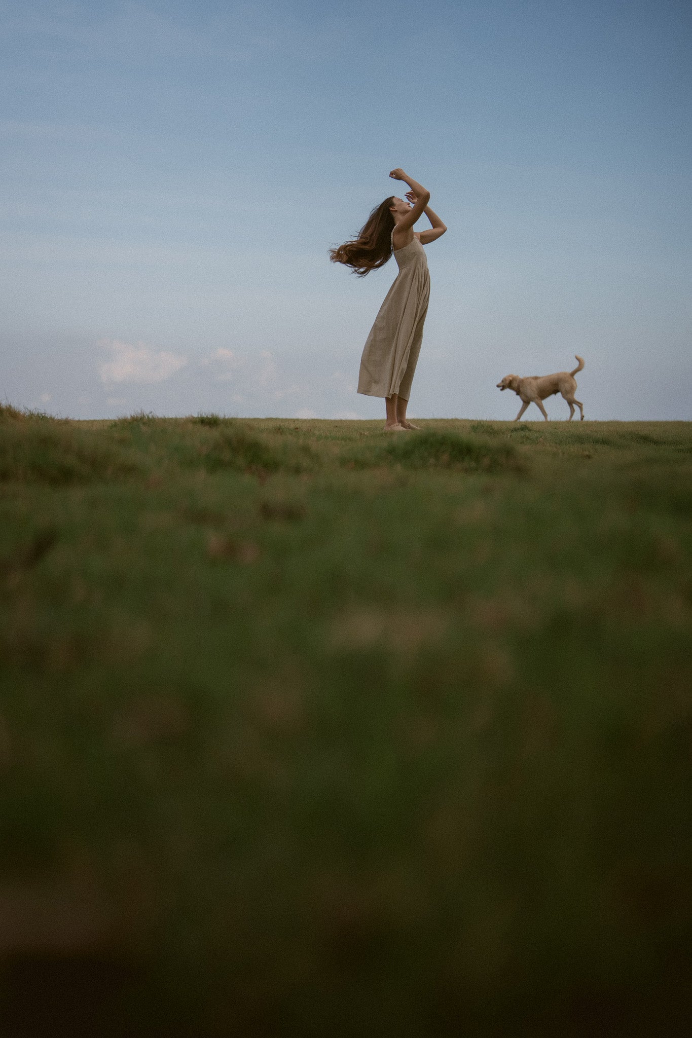 Meadow Pleated Dress