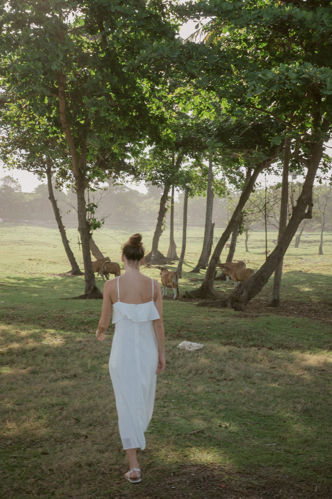 Shorefront Embroidery Cotton Dress