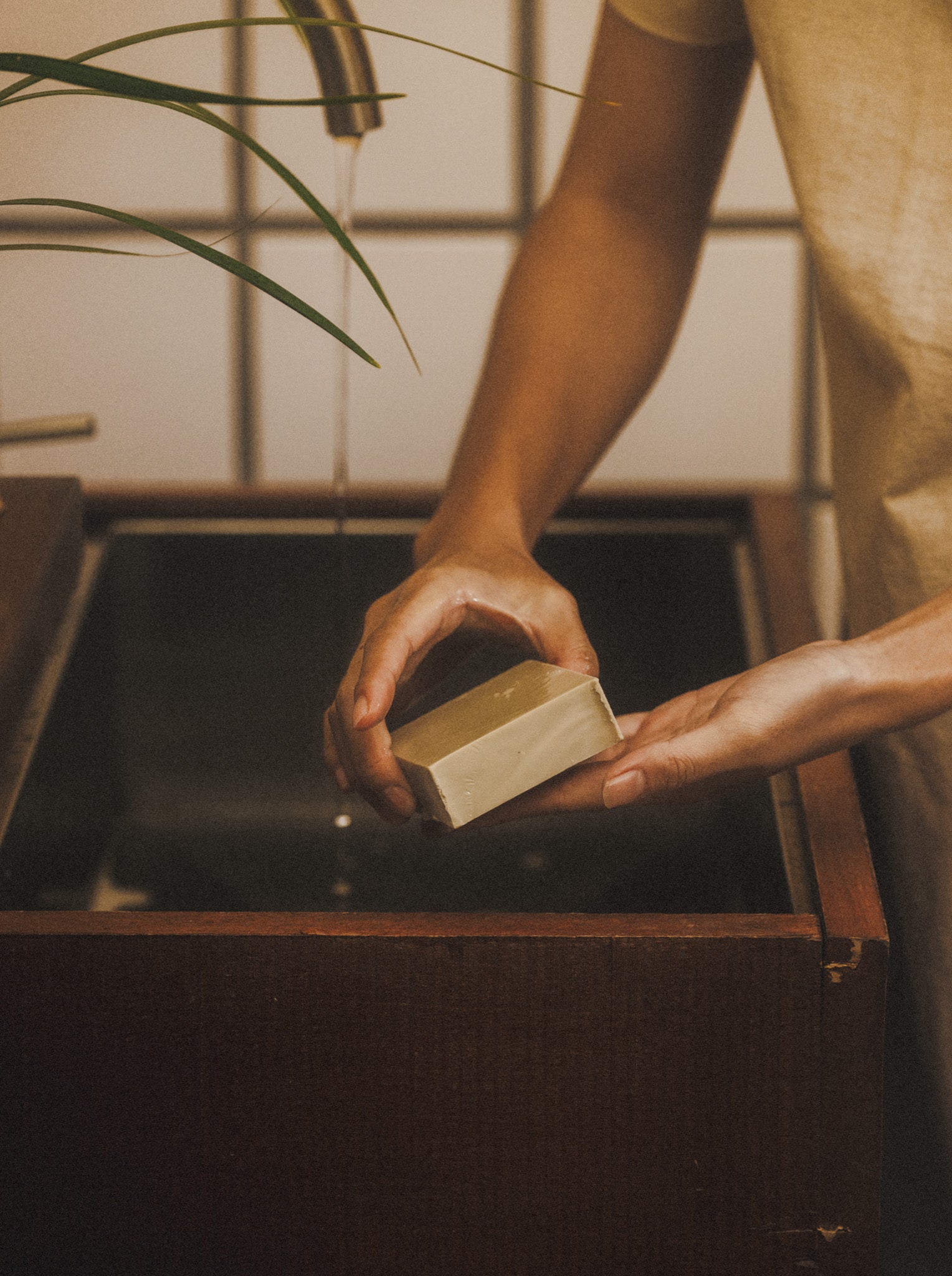 Revive Bar Soap